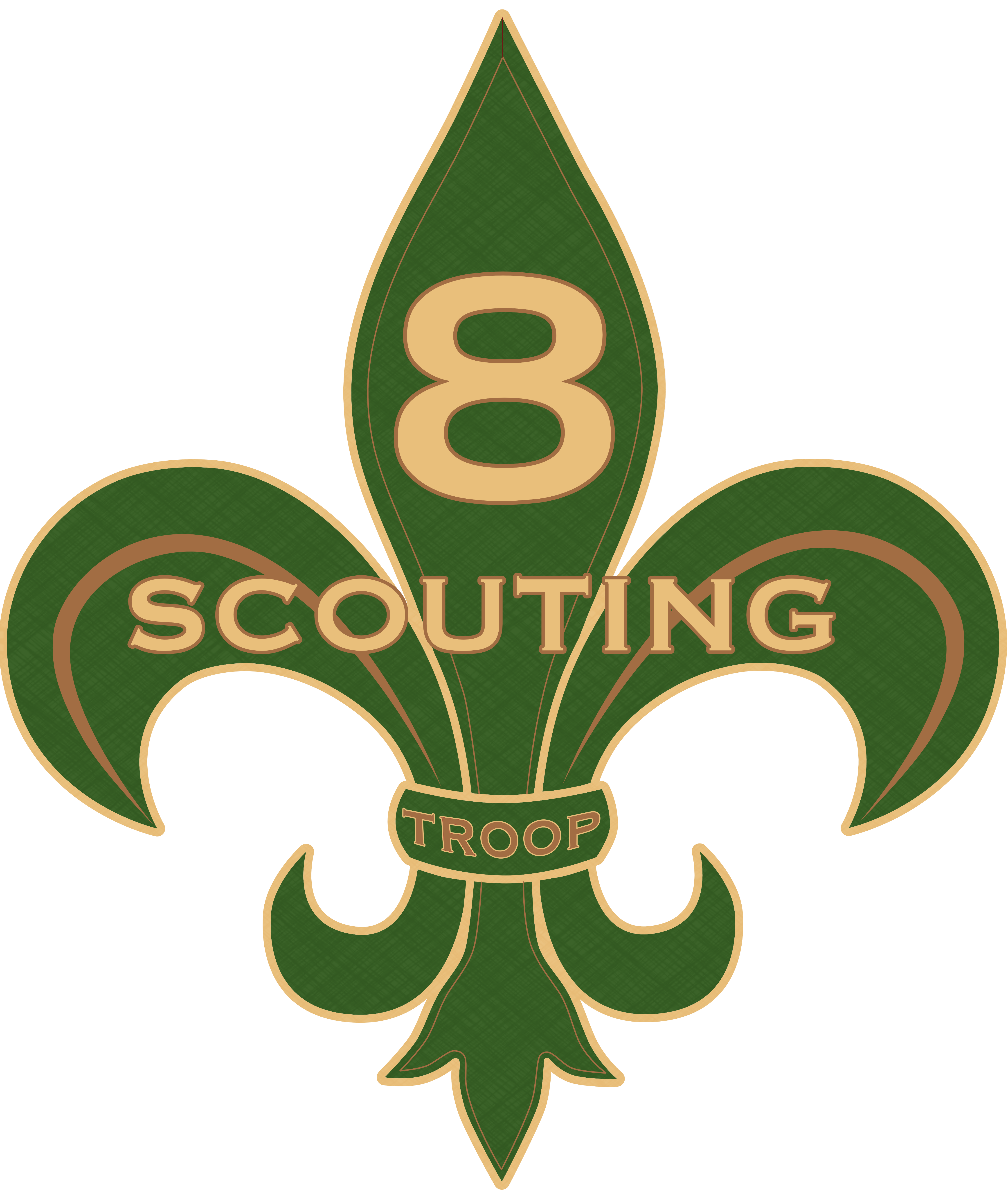 Introducing the Troop 8 Website